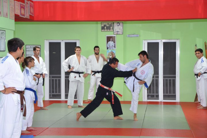 okinawa karate - ju jitsu - apollofanous filoxenos zakynthos by dimitris panagiotopoulos - μαθήματα για μεγάλους
