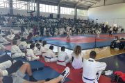 Κύπελλο Εγχρώμων & Μαύρων Ζωνών Ju-Jitsu zante budo academy